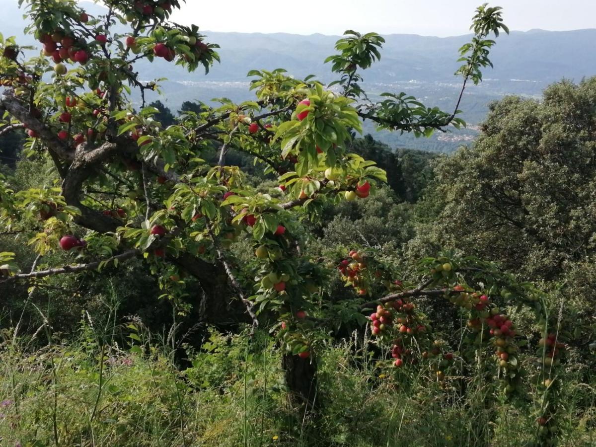 Can Llobet Espai Rural Slow Fogars de Montclus Экстерьер фото