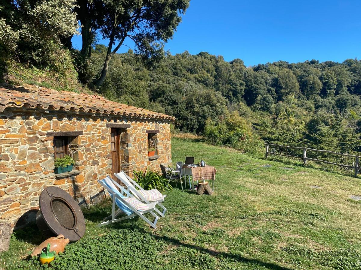 Can Llobet Espai Rural Slow Fogars de Montclus Экстерьер фото